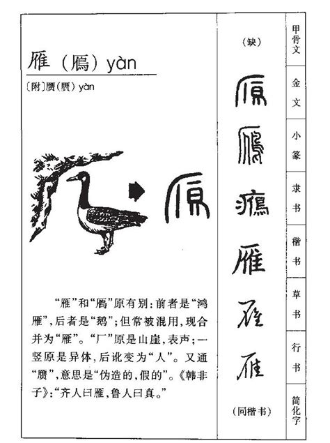 雁名字意思